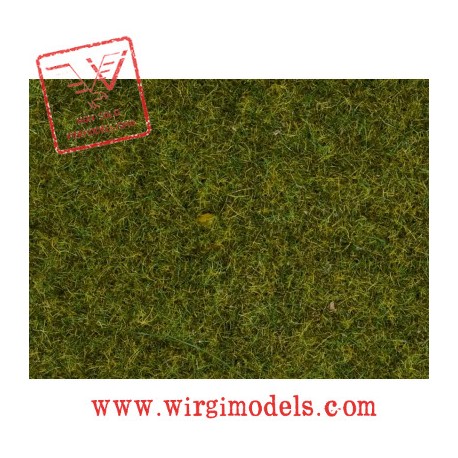 Noch 08212 - Erba per prato da 1,5mm conf. 20g