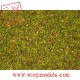 Noch 08330 - Polvere verde fiorito conf. 20g