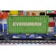 WMLAB - Kit. PT TRAINS - PT100267 carro MODALIS Sgmmnss e container EVERGREEN, ep. VI