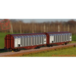 Roco 6600111 - Set di 2 pezzi: Carri a pareti scorrevoli, DB, DC, ep. VI.