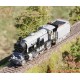 Roco RC7110047 - Locomotiva a vapore gruppo 109, Südbahn, DCC-SOUND, ep. II.