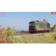 PIKO PK22030 - WMLAB.:001 -Locomotiva Diesel D.445.1009 1^ Serie con Logo FS Ep.IV