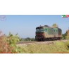 PIKO PK22030 - WMLAB.:001 -Locomotiva Diesel D.445.1009 1^ Serie con Logo FS Ep.IV