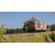 PIKO PK22030 - WMLAB.:001 - FS - Locomotiva Diesel D.445.1112 livrea MDVC Dep. Loc. SIENA, Ep.IV
