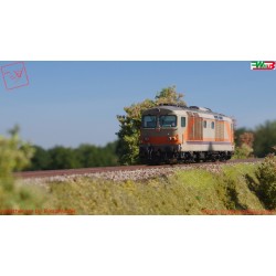 PIKO PK22030 - WMLAB.:001 - FS - Locomotiva Diesel D.445.1112 livrea MDVC Dep. Loc. SIENA, Ep.IV