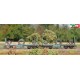Roco 6600181 - WMLab.: 001 - Set da 2 pezzi: Carri per il trasporto di bobine, FS, ep V-VI.