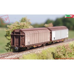 Roco RC6600111 - WMLab.: 001 - Set da 2 pezzi: Carro con parete scorrevole, DB, ep IV.
