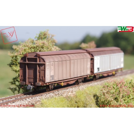 Roco RC6600111 - WMLab.: 001 - Set da 2 pezzi: Carro con parete scorrevole, DB, ep IV.