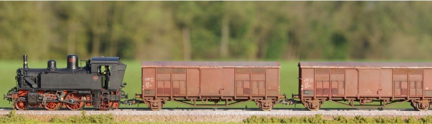 Modelli Elaborati - Weathering